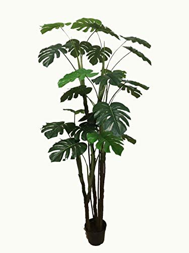 AMERIQUE Lifelike 6 Feet Tropical Monstera Palm Artificial Tree with Nursery Pot, UV Protection, Feel Real Technology, Super Quality, Green