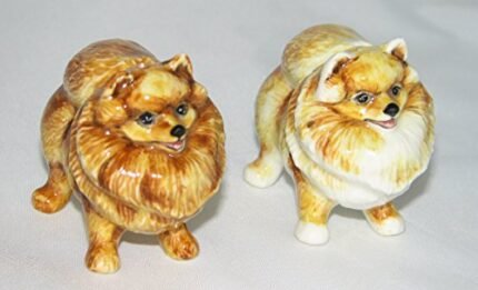 Pomeranian Salt and Pepper Shaker Set