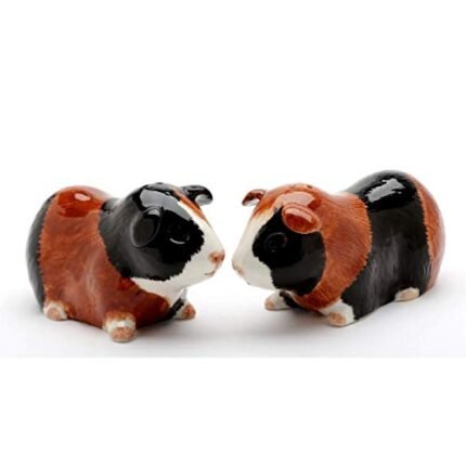 Fine Porcelain Guinea Pig Salt and Pepper Shakers Set, 3-7/8″ L