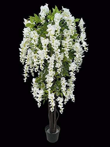 AMERIQUE White Gorgeous & Unique 5 Feet Blooming Artificial Silk Creamy Wisteria Tree with Twisted Trunks, in Nursery Pot, Feel Real Technology