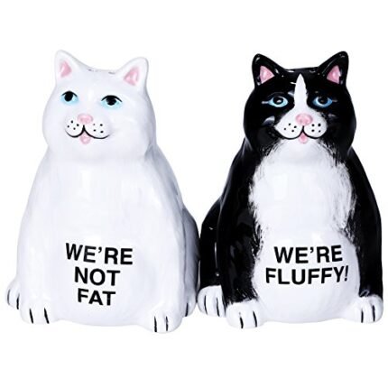 Pacific Giftware Fluffy Fat Cats Ceramic Magnetic Salt and Pepper Shaker Set