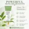 Triple Enzyme Green Tea Exfoliating Aqua Peel Gel