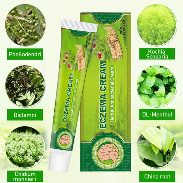 image3_57052620-2614-4807-afa2-fb285fa5dca9 Eczema Cream Herbal Antibacterial Ointment 20g