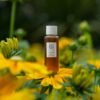 image3_b5157eb6-1c1b-4f6e-9e74-8f5c114ca1a4 Ginseng Essence Water